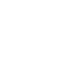 Comprehensive Assessment