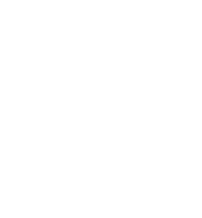 Customized Treatment Plan